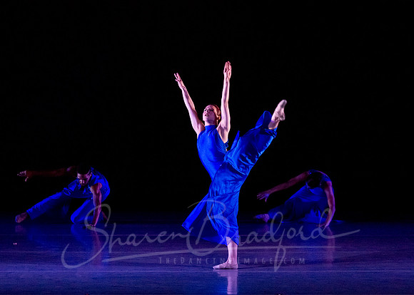 Following Echoes - pc Sharen Bradford-3218