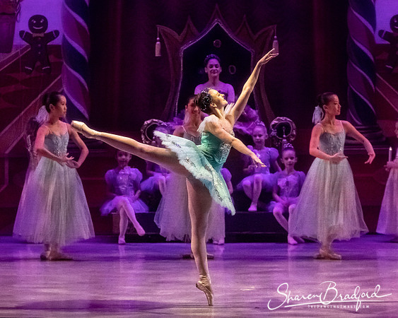 CCBT Nutcracker 19 pc Sharen Bradford-5295