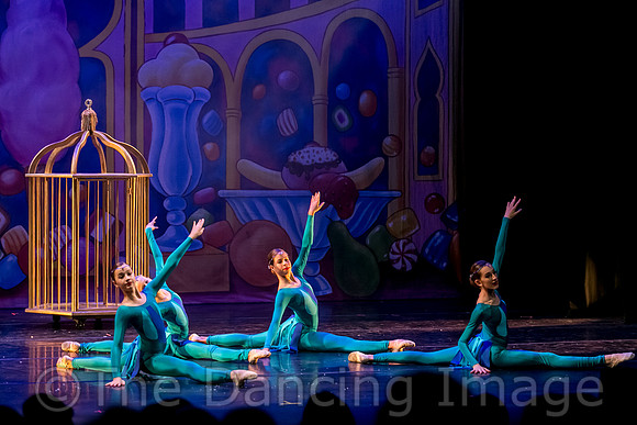 Royale Ballet Nutcracker-1820