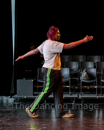 Integration of Abilities 2015 pc Sharen Bradford -5026
