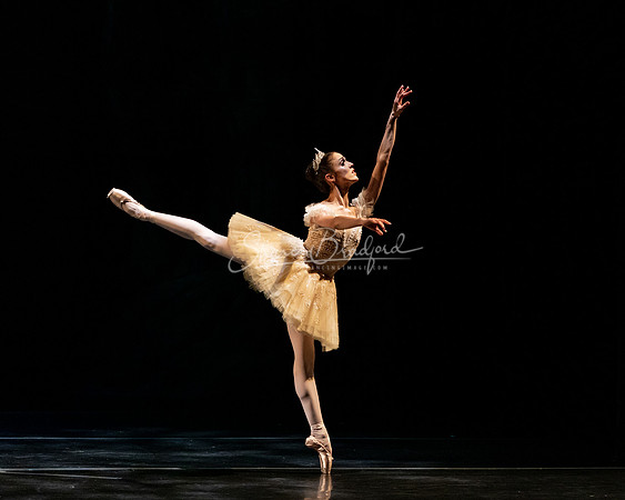 Ballet NTX Sleeping Beauty pc Sharen Bradford-1254