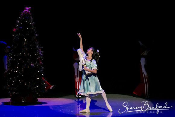 Rockefeller Christmas 1 pc Sharen Bradford-5695