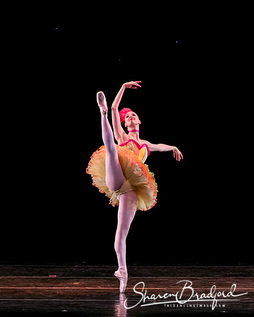 Nutcracker eve pc Sharen Bradford-7143