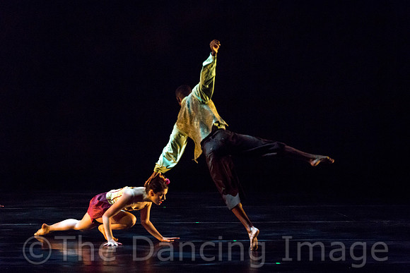 Dark Circles Contemporary-0805