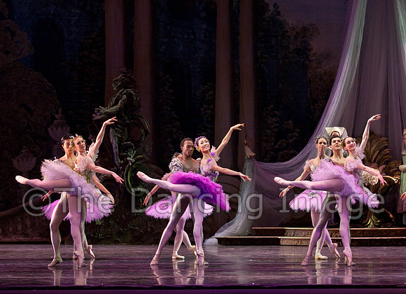 TB Sleeping Beauty Wed.-0112