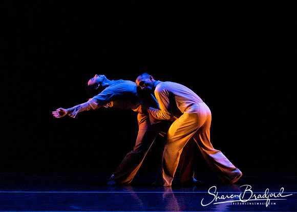 A Measurable Existence- Gibney Company pc Sharen Bradford-0735