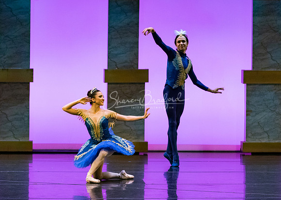 Ballet NTX Sleeping Beauty pc Sharen Bradford-1825