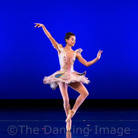 Texas Ballet Theater-1429