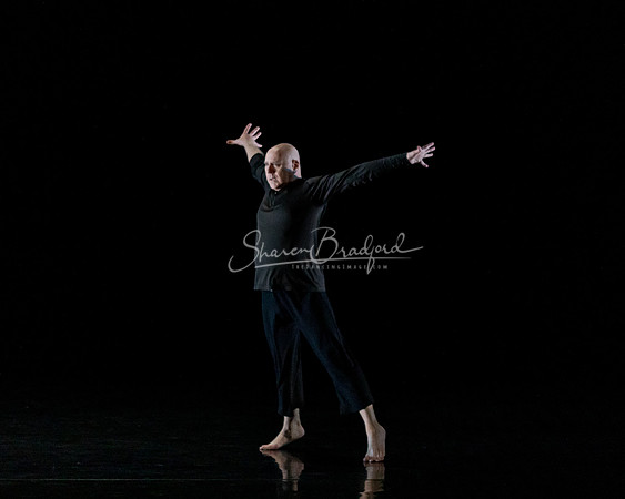 Nocturne pc Sharen Bradford-0746