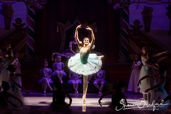 CCBT Nutcracker 19 pc Sharen Bradford-5241