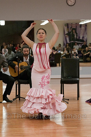Flamenco-2-28