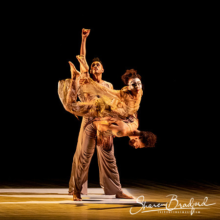 Delfos Danza pc Sharen Bradford-0382