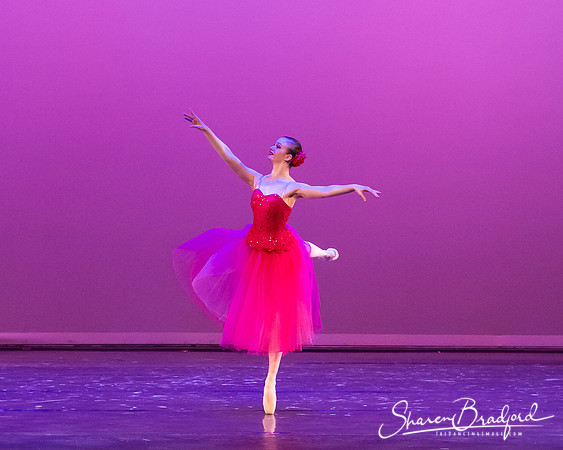 Waltz of the Flowers pc Sharen Bradford-2752