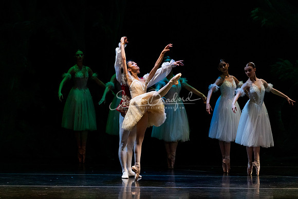 Ballet NTX Sleeping Beauty pc Sharen Bradford-1292