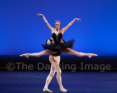 Black Swan-1098