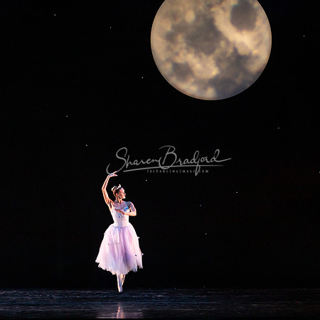 ASFB Nutcracker 2022 pc Sharen Bradford-12546