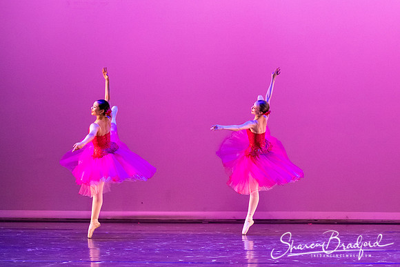 Waltz of the Flowers pc Sharen Bradford-2766