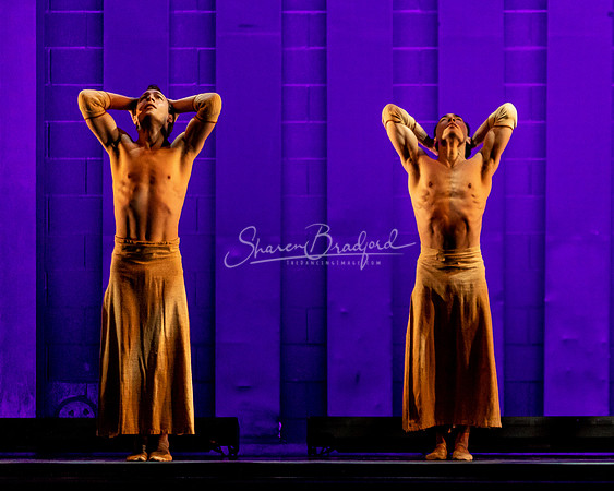 Hide Me Angel pc Sharen Bradford-3926