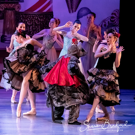 CCBT Nutcracker 19 pc Sharen Bradford-5457