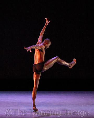 Alvin Ailey ADT-2288
