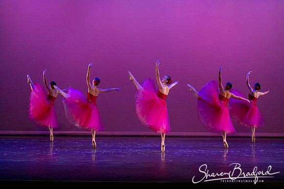 Waltz of the Flowers pc Sharen Bradford-2863