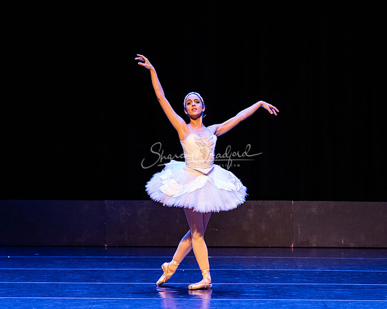 Dying Swan pc Sharen Bradford-1282
