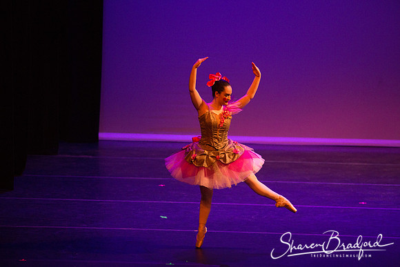 Clara's Dream 2019 pc Sharen Bradford-0065