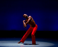 Alvin Ailey ADT-0024