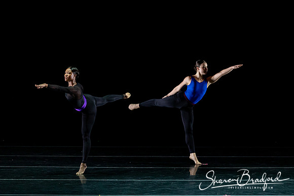 DBDT Execution of a Sentiment pc Sharen Bradford-0886