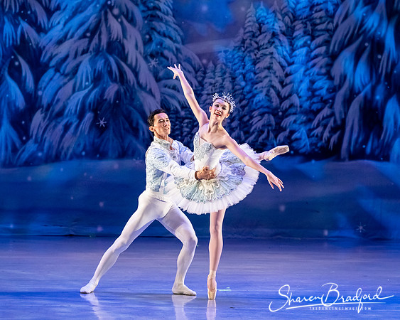 CCBT Nutcracker 19 pc Sharen Bradford-4890