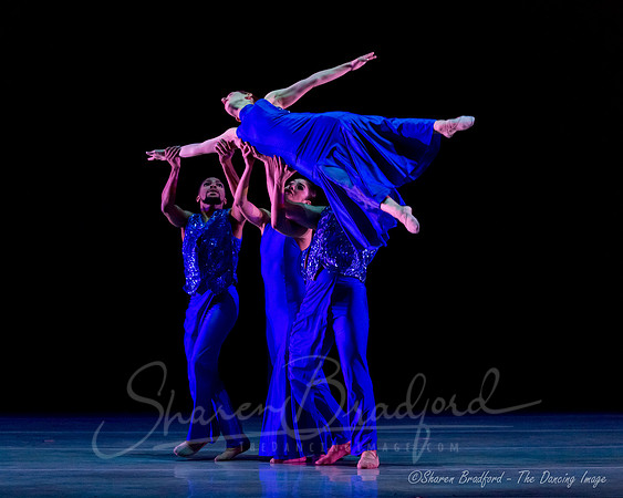 Following Echoes - pc Sharen Bradford-0924