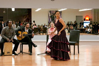 Flamenco-2-6