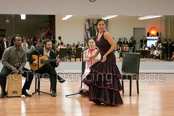 Flamenco-2-6