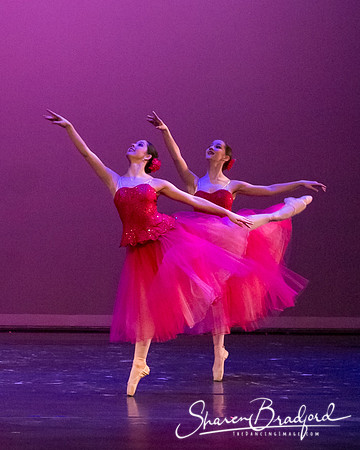 Waltz of the Flowers pc Sharen Bradford-2871