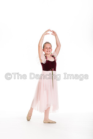 044 b McDaniel_00496-2