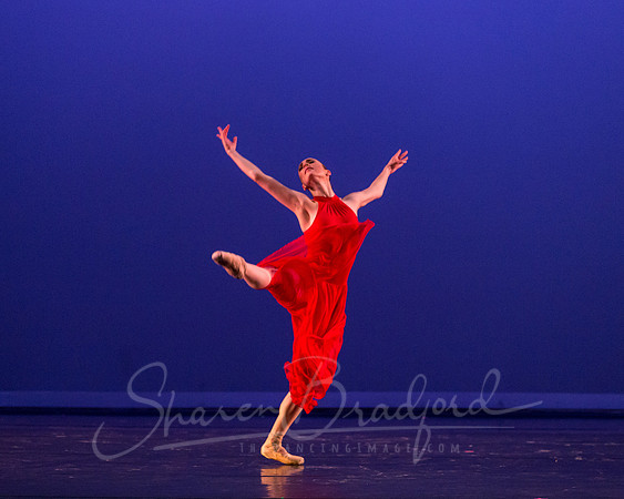 Subconscious Motion pc Sharen Bradford-1197