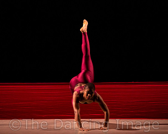 DBDT Encore-8667