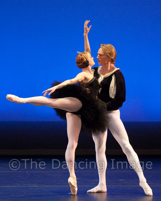 Black Swan-1139