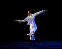 Descent of the Divine pc Sharen Bradford-1336