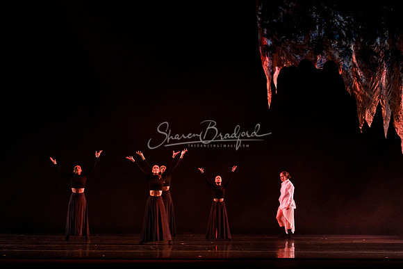 Descent of the Divine pc Sharen Bradford-1373