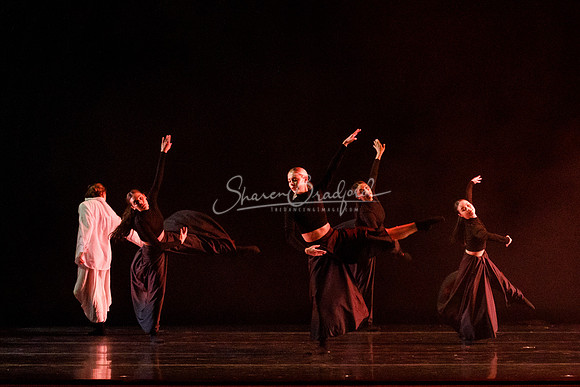 Descent of the Divine pc Sharen Bradford-1378