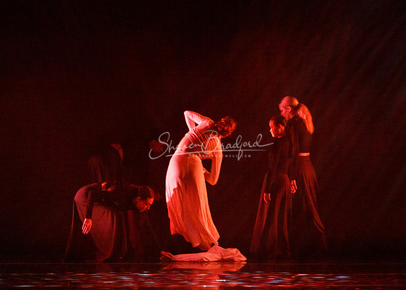 Descent of the Divine pc Sharen Bradford-1439