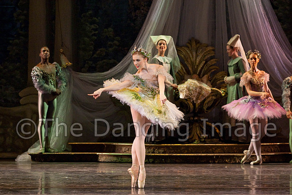 TB Sleeping Beauty Wed.-0049-2