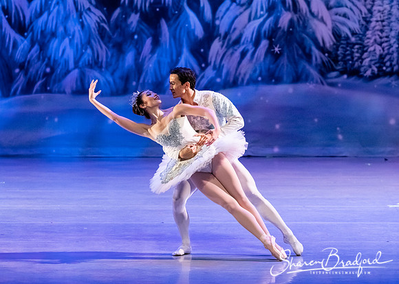 CCBT Nutcracker 19 pc Sharen Bradford-4843