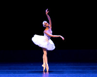 Dying Swan pc Sharen Bradford-1176
