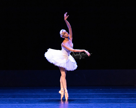 Dying Swan pc Sharen Bradford-1176