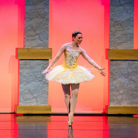 Ballet NTX Sleeping Beauty pc Sharen Bradford-0198