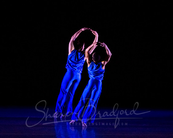 Following Echoes - pc Sharen Bradford-3456