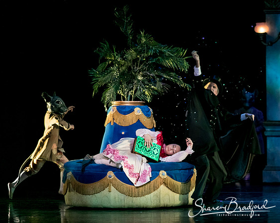 Nutcracker Battle eve pc Sharen Bradford-6387
