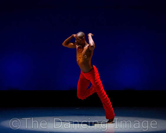 Alvin Ailey ADT-0084